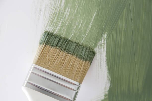 Best Dehumidification Services  in Owensboro, KY