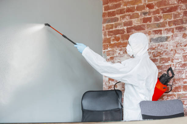Best Dehumidification Services  in Owensboro, KY
