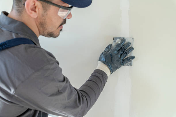 Best Mold Removal for HVAC Installations  in Owensboro, KY