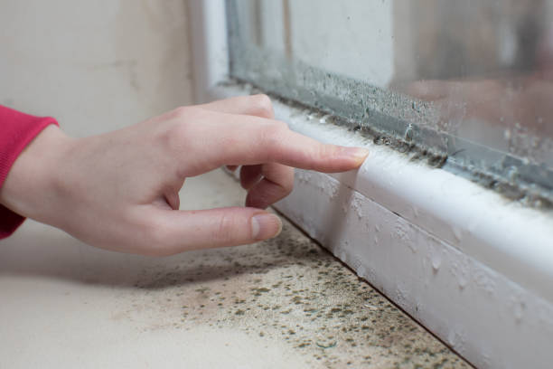 Best Air Quality Testing for Mold Spores  in Owensboro, KY