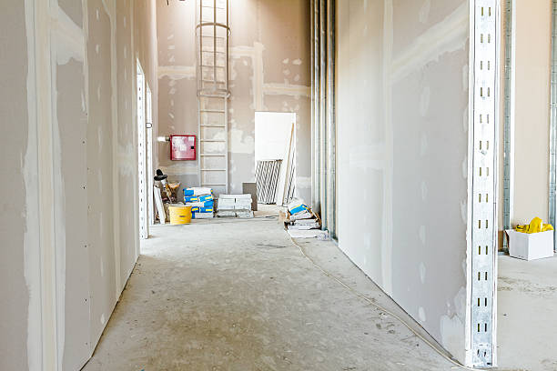 Best Industrial Mold Remediation  in Owensboro, KY
