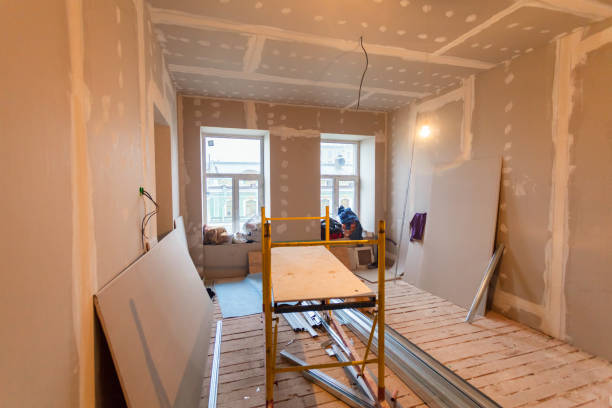 Reliable Owensboro, KY Mold Removal Solutions