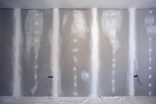 Best Real Estate Mold Inspection  in Owensboro, KY